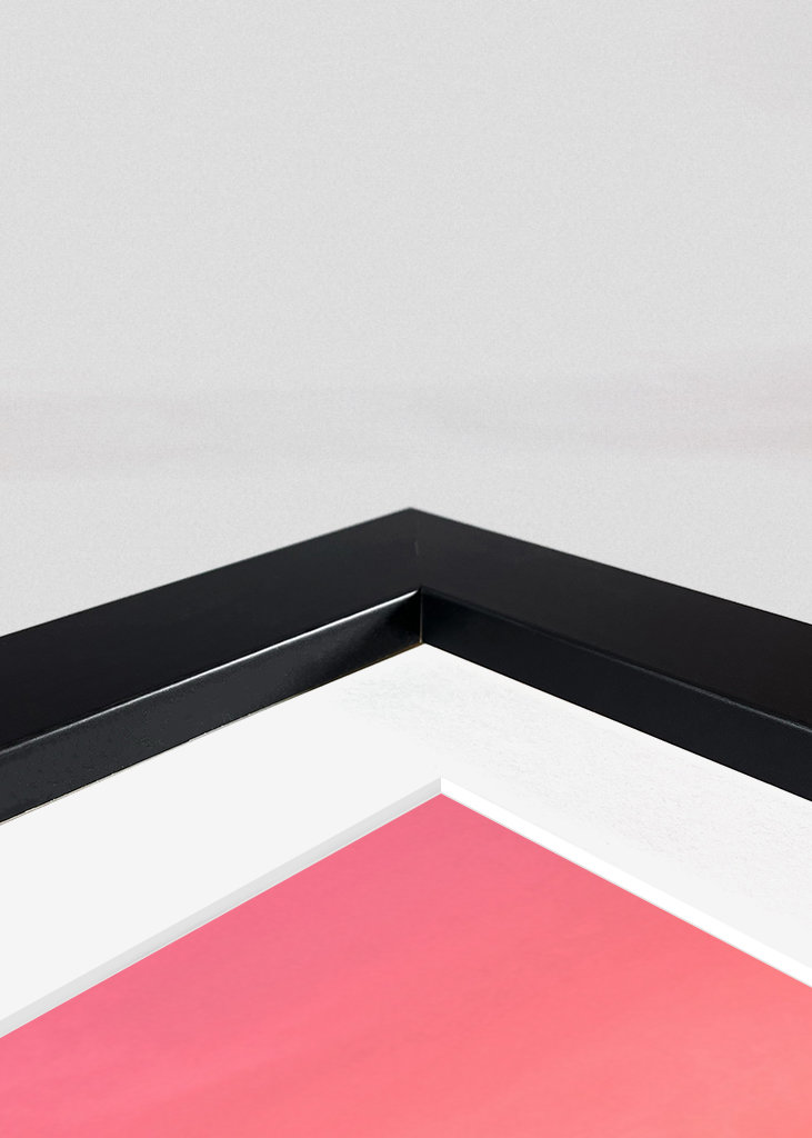 Palm Tree Beach Dream 1