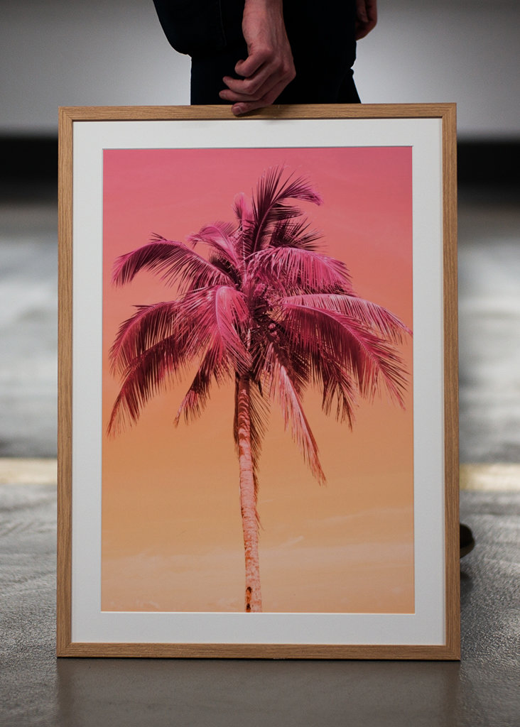 Palm Tree Beach Dream 1