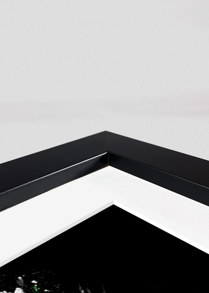 Roronoa zoro green brush