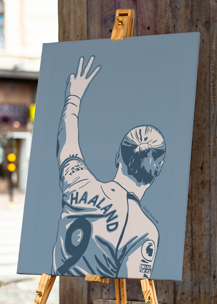 Erling Haaland 
