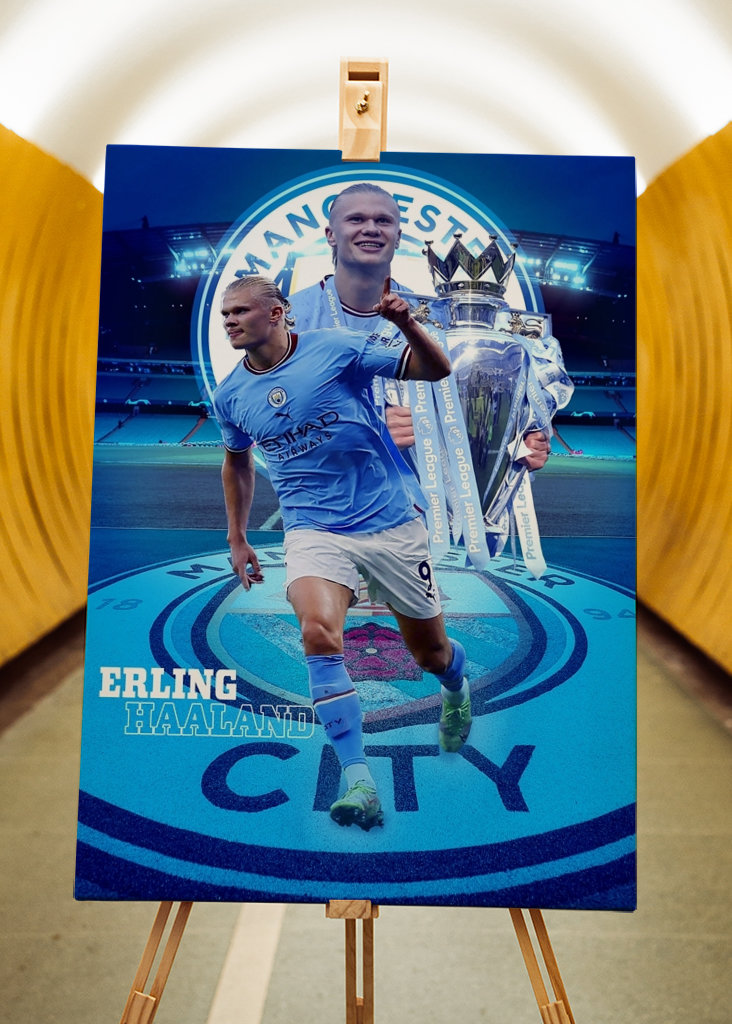 Erling Braut Haaland