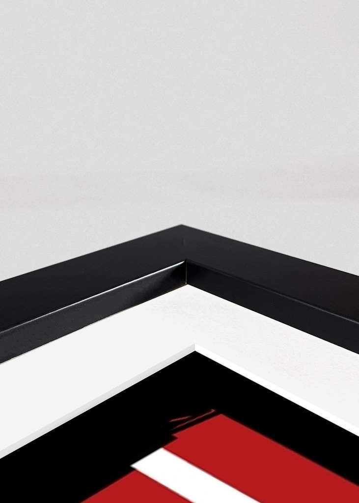 Martin Luther King Jr.