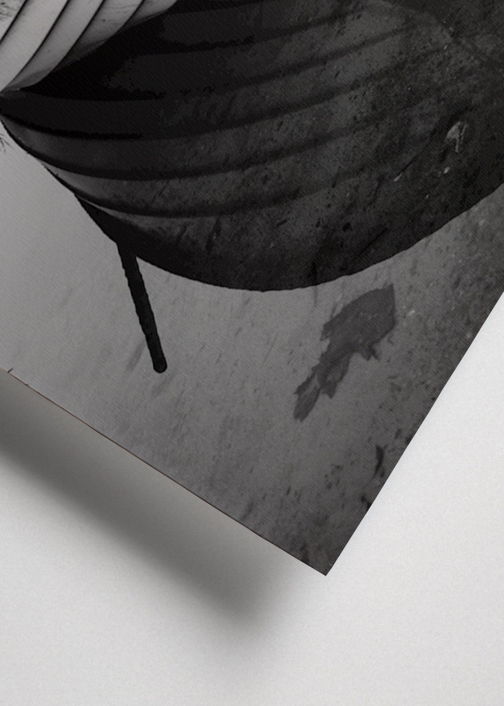 skiff boat of sadness