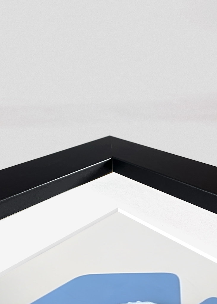 Lionel Messi Fotboll