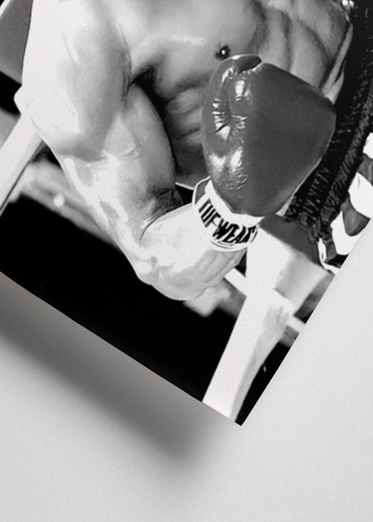 Frases de Rocky Balboa 