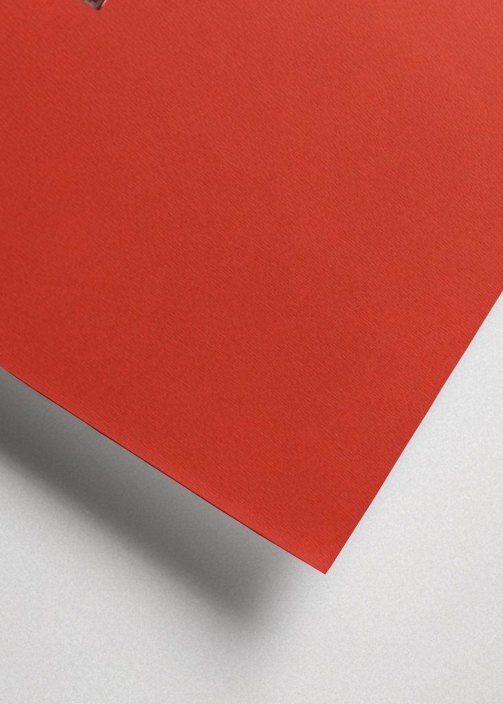 Copenhagen Red Wall & Window