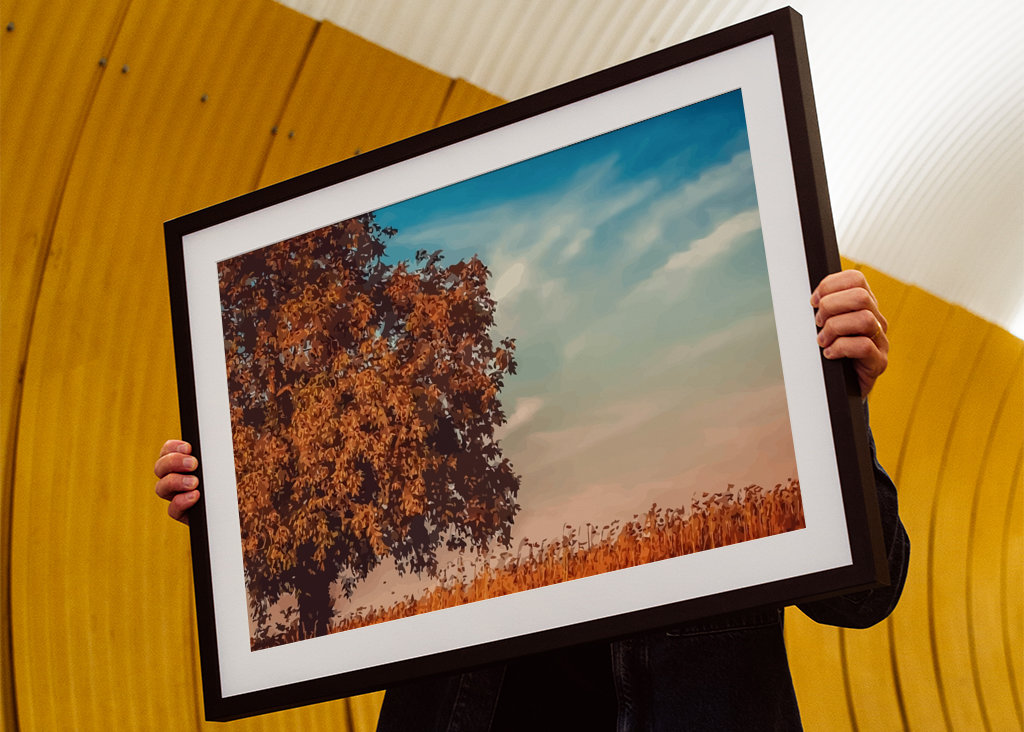 æstetisk skyggefuldt træ