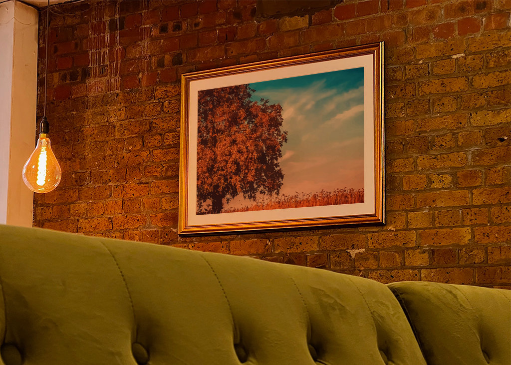 æstetisk skyggefuldt træ