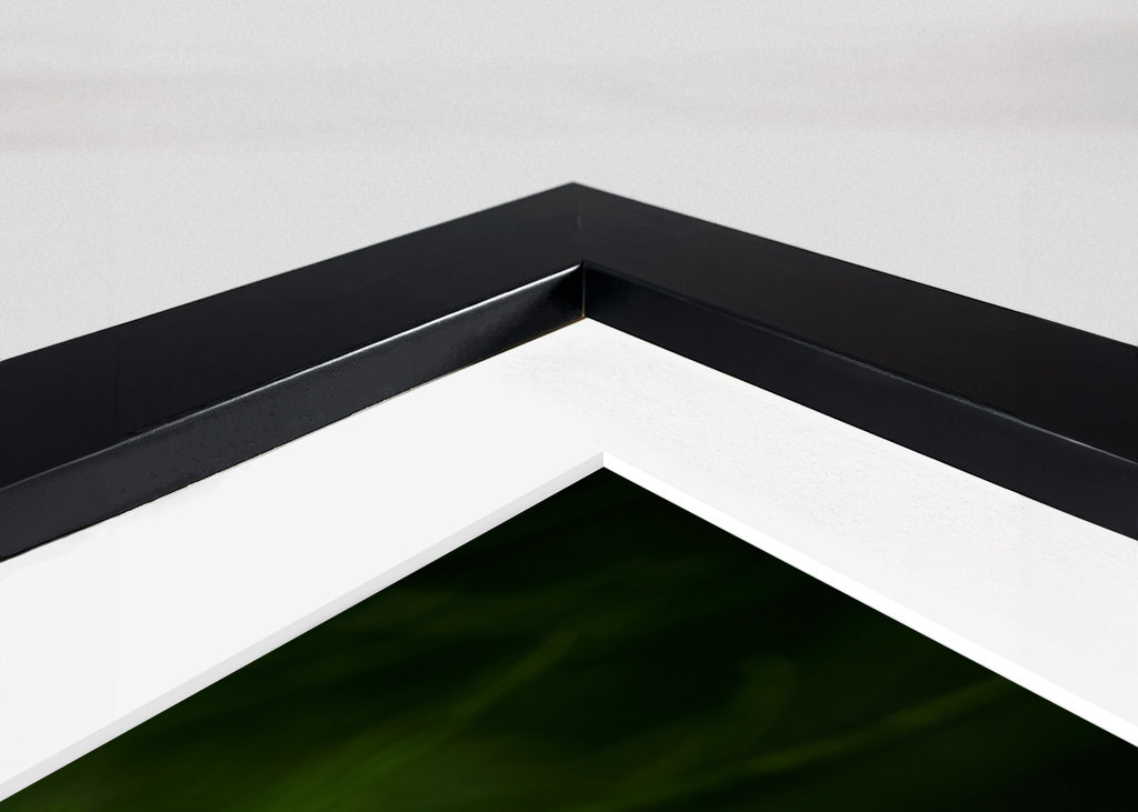 En hvit kløverblomst i gresset