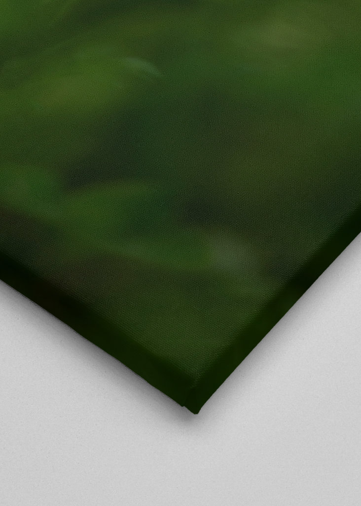 Pryskyřník v trávě