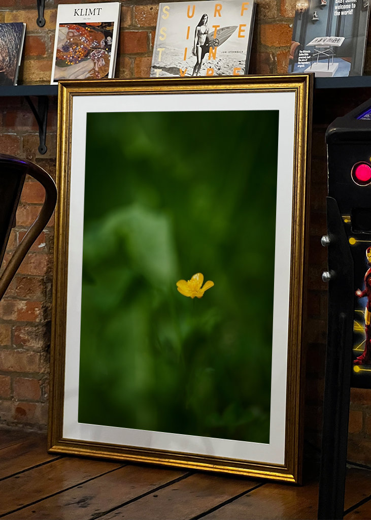 Pryskyřník v trávě