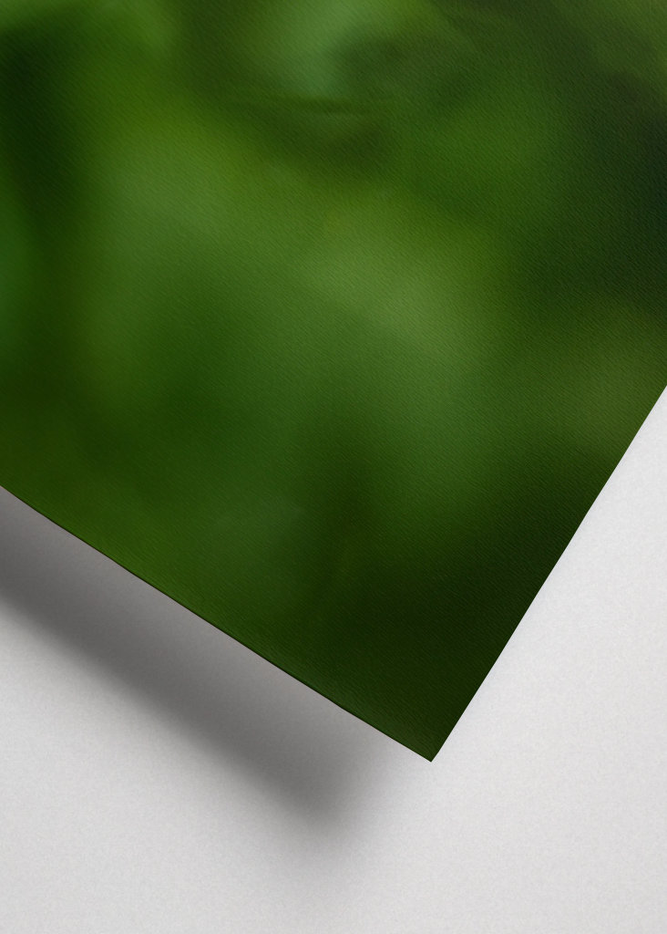 Pryskyřník v trávě