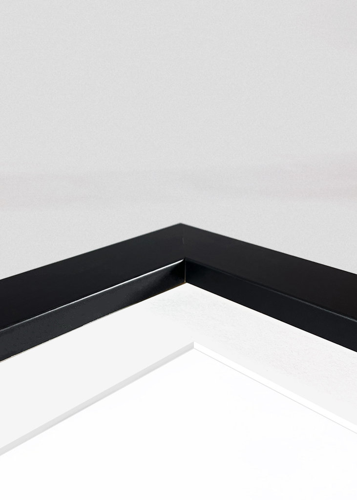 Princess Tiana Quote