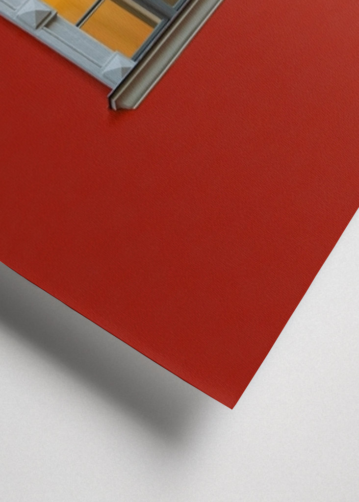 Window Of Opportunity 