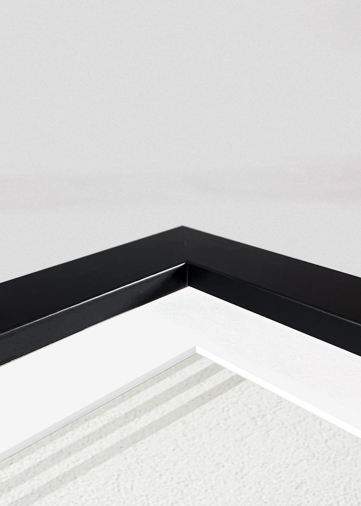 Vista dall'alto dell'aereo