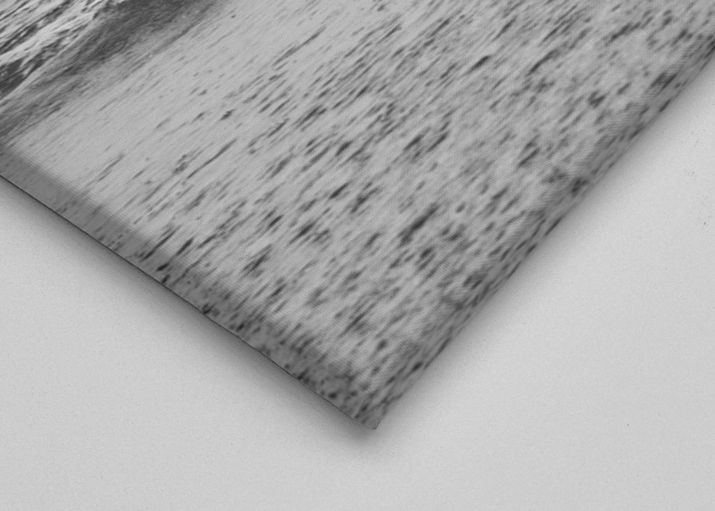 Surfer Black & White Vibes 4