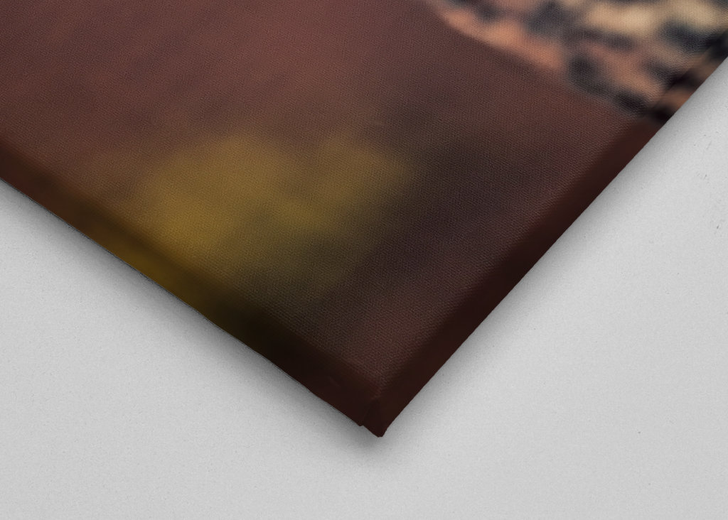 Gaze of the Swift Cheetah 