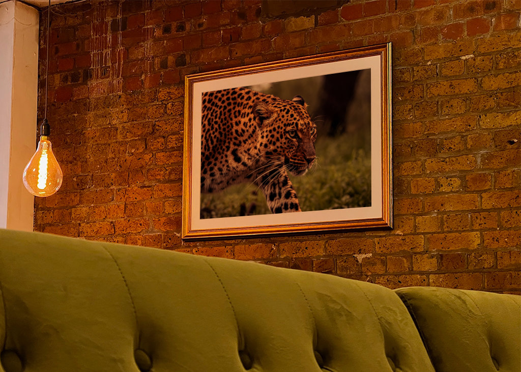 El enfoque sigiloso de un leopardo