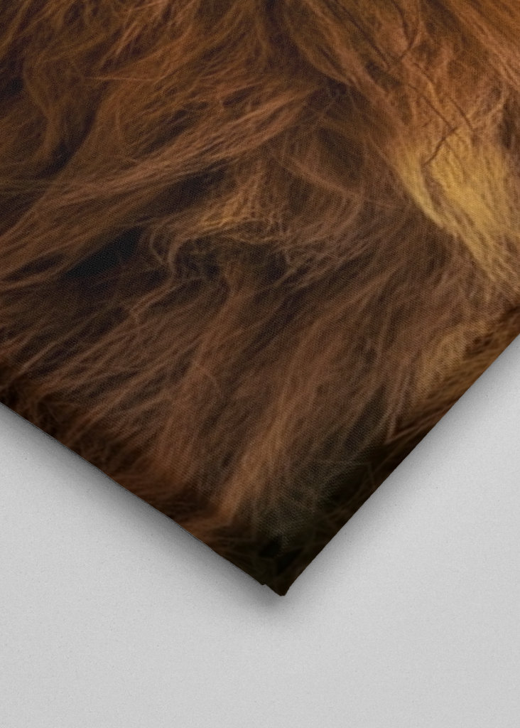 Le rugissement du lion résonne dans la nature