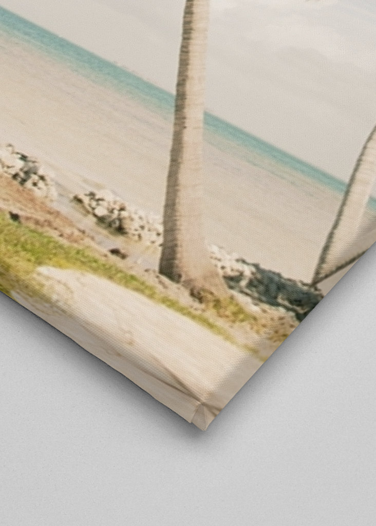 Palm Tree Beach Oasis 1