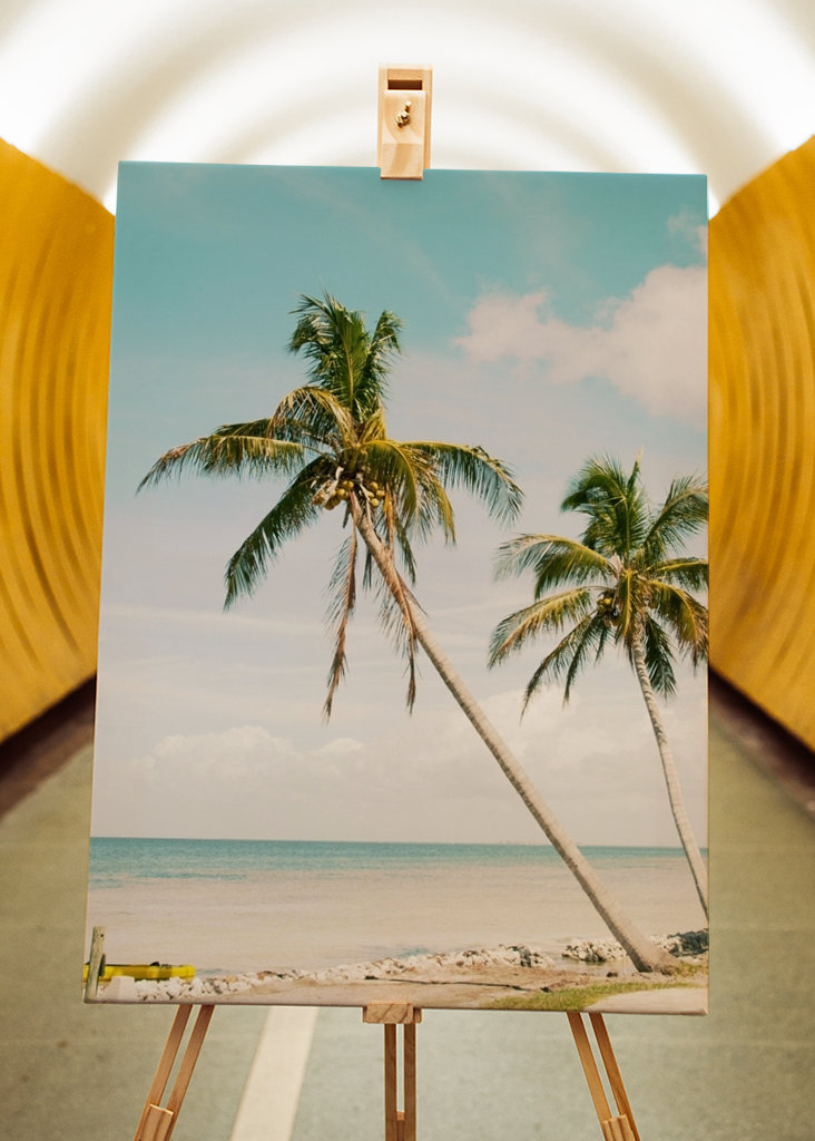 Palm Tree Beach Oasis 1