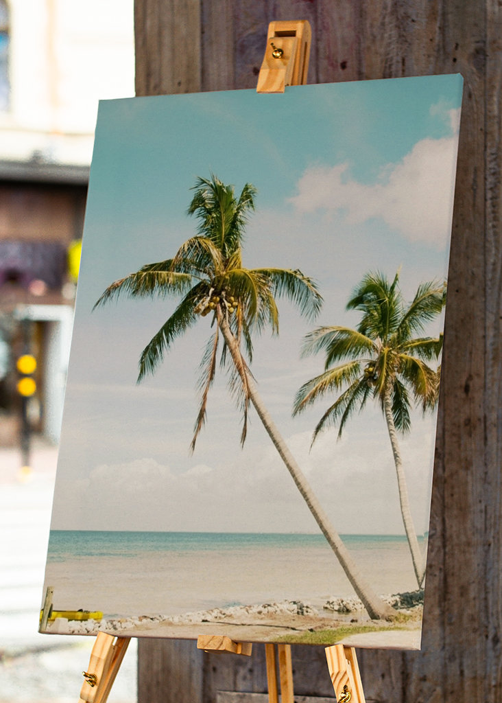 Palm Tree Beach Oasis 1