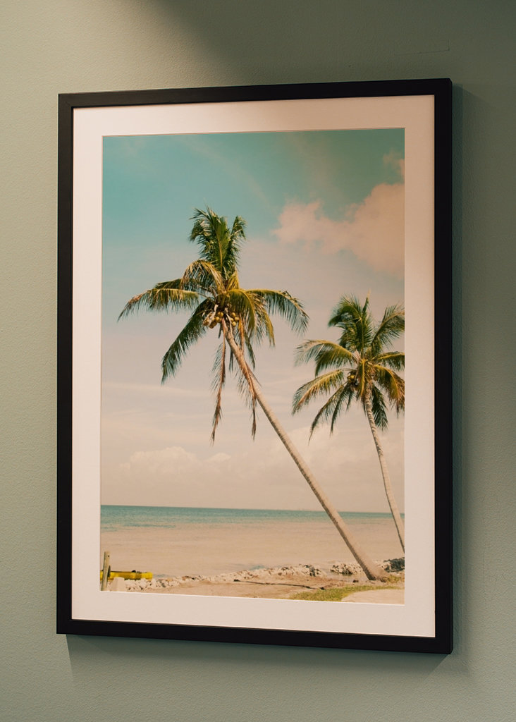 Palm Tree Beach Oasis 1