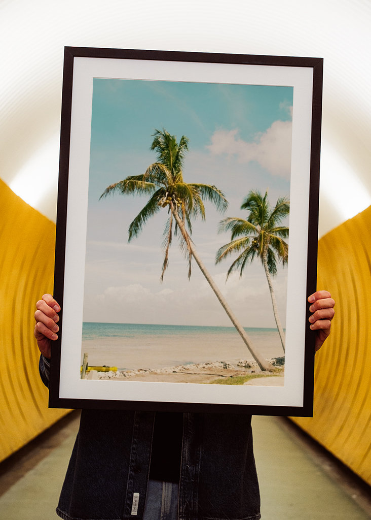 Palm Tree Beach Oasis 1