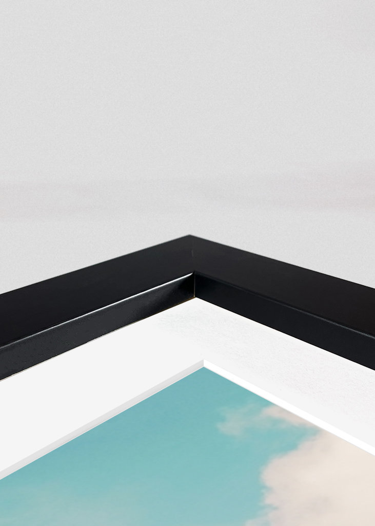 Palm Tree Beach Oasis 1