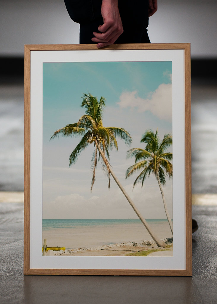 Palm Tree Beach Oasis 1