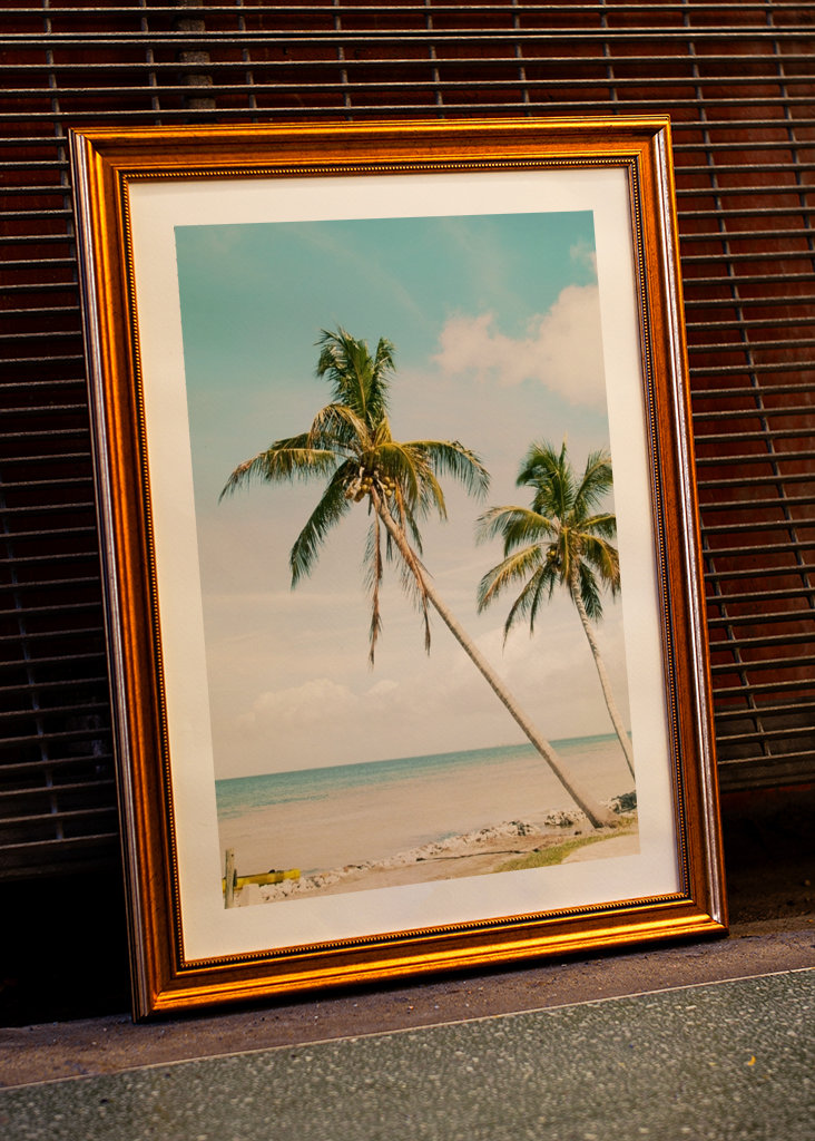 Palm Tree Beach Oasis 1