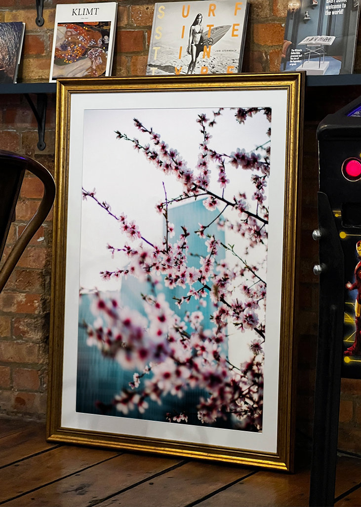 Malmö Live/Kirsebærblomst