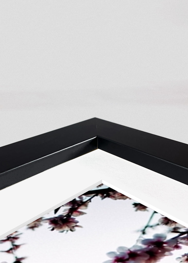 Malmö Live/Kirsebærblomst