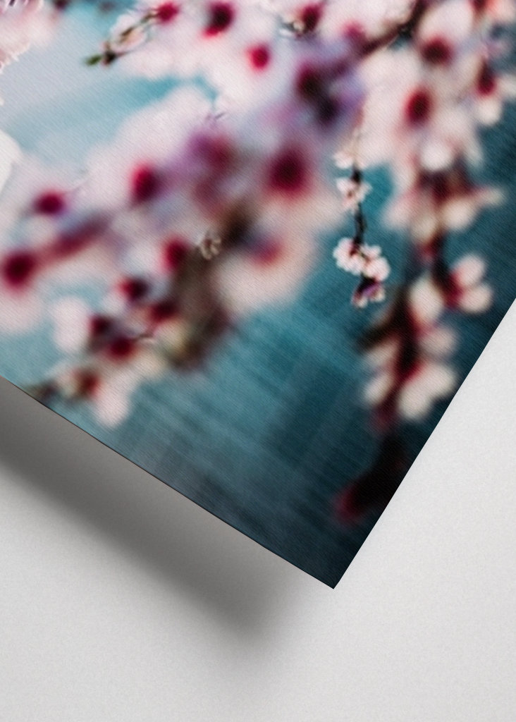 Malmö Live/Kirsebærblomst