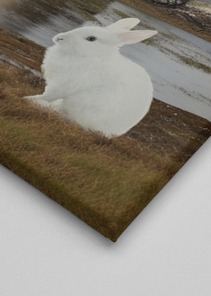 Monty Python & the Holy Grail