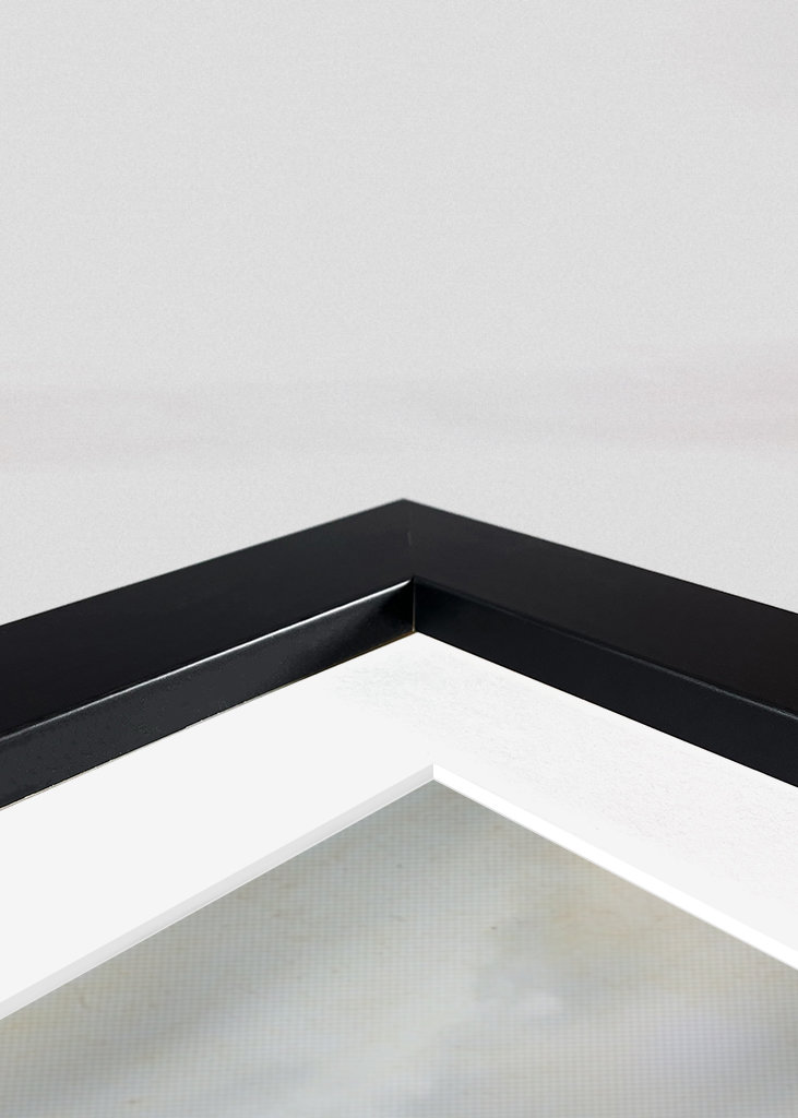 Monty Python & the Holy Grail