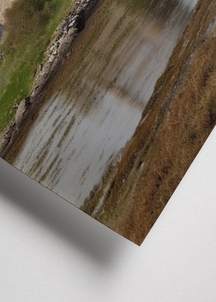 Monty Python & the Holy Grail