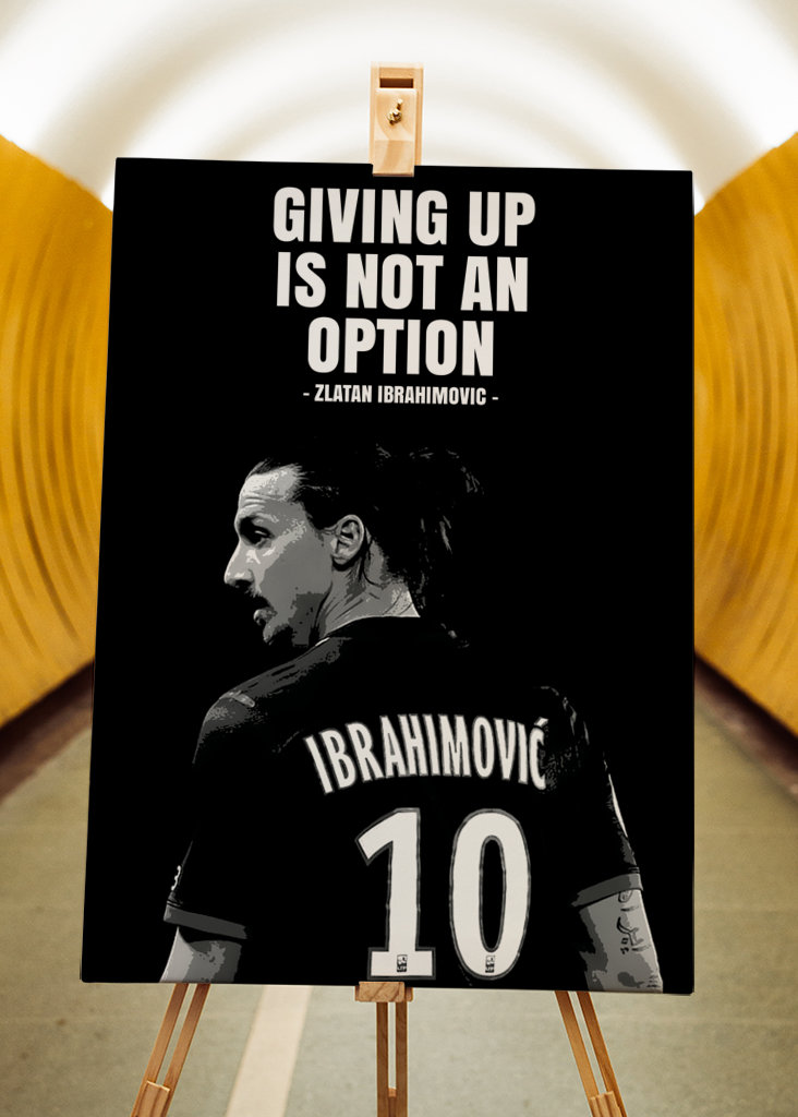 Zlatan Ibrahimovic Quotes