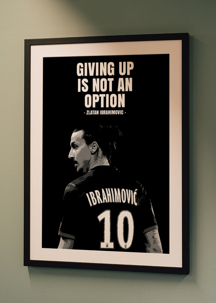 Zlatan Ibrahimovic Quotes