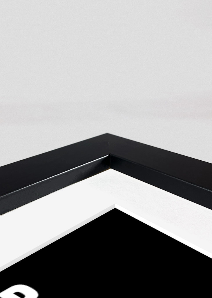 Zlatan Ibrahimovic Quotes