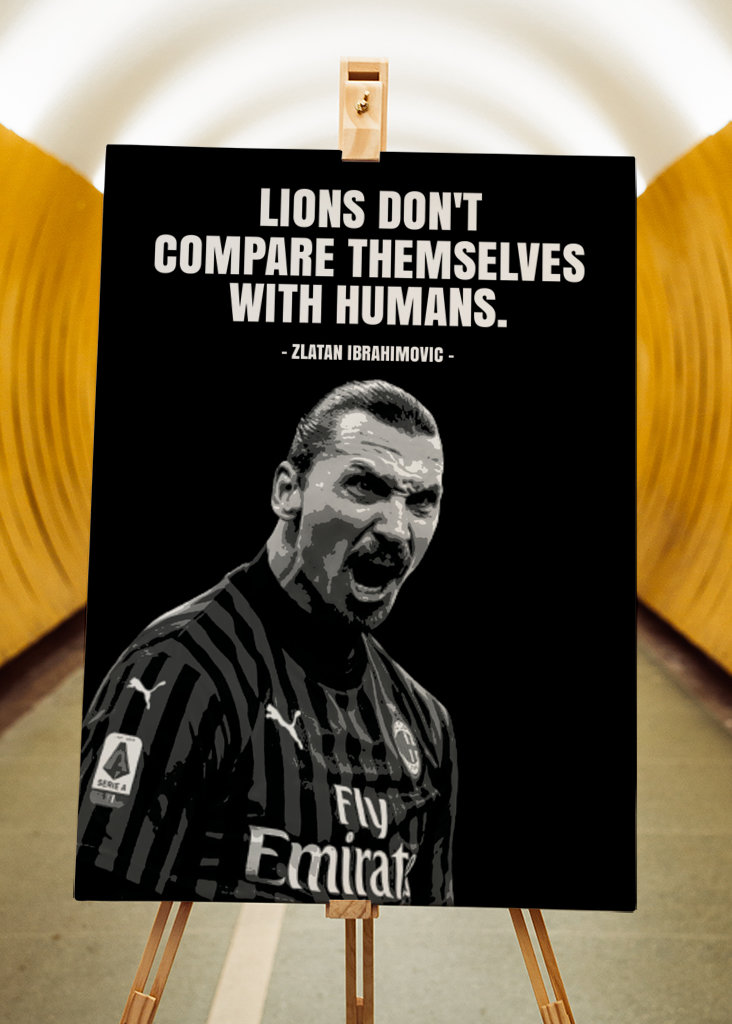 Zlatan Ibrahimovic Quotes