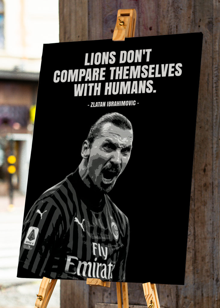 Zlatan Ibrahimovic Quotes