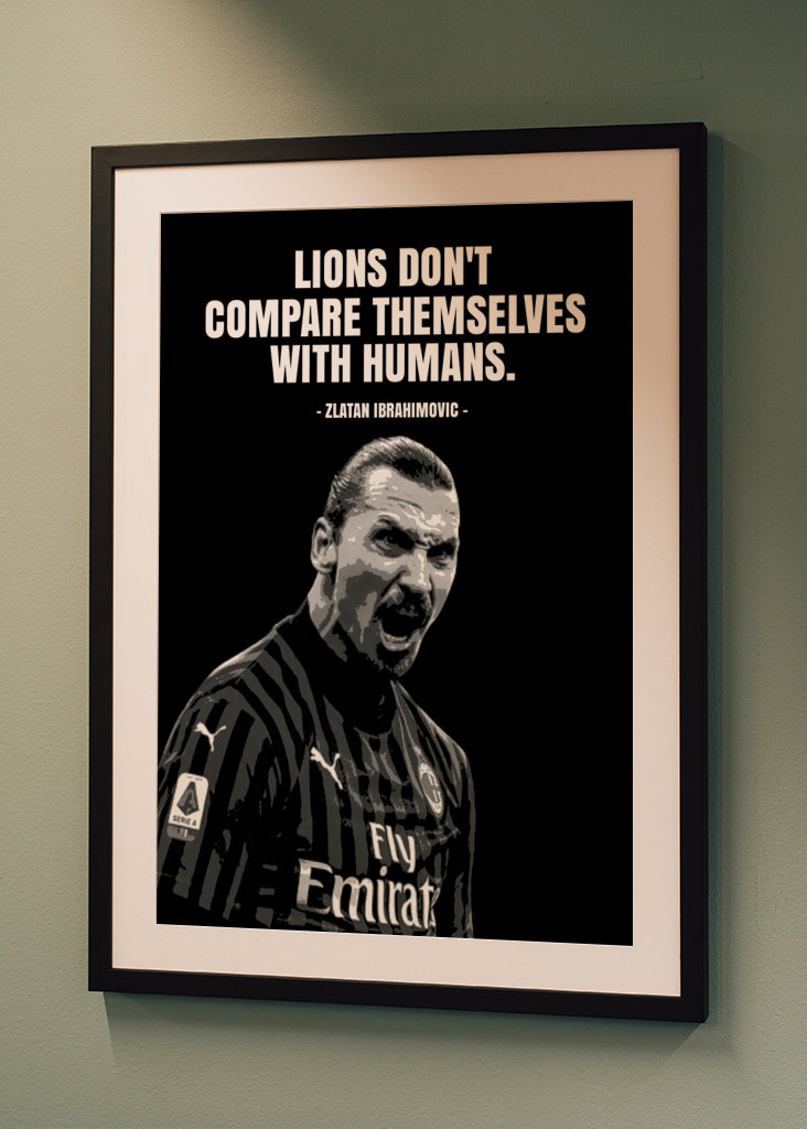 Zlatan Ibrahimovic Quotes