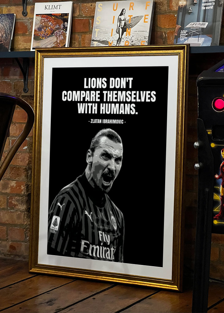 Zlatan Ibrahimovic Quotes