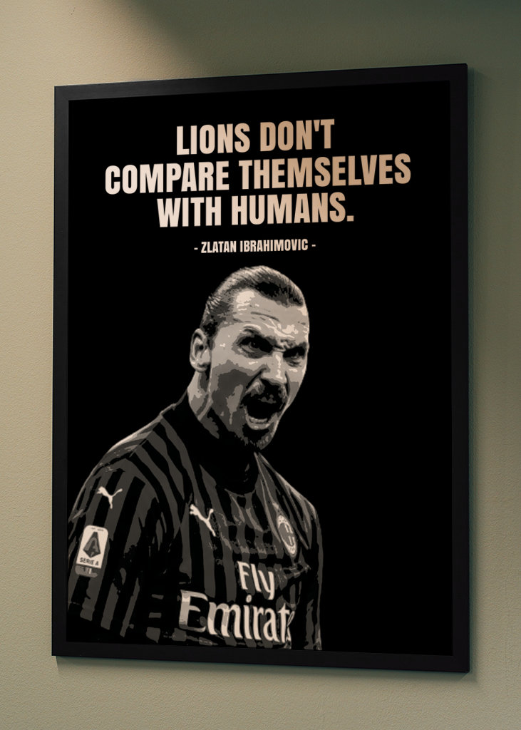 Zlatan Ibrahimovic Quotes