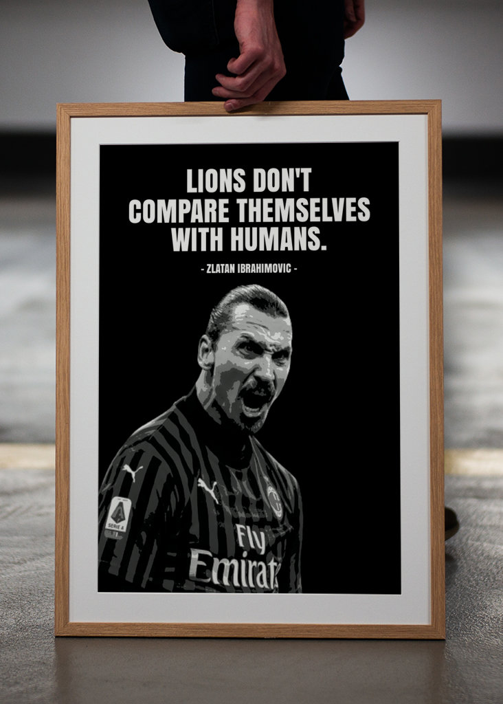 Zlatan Ibrahimovic Quotes