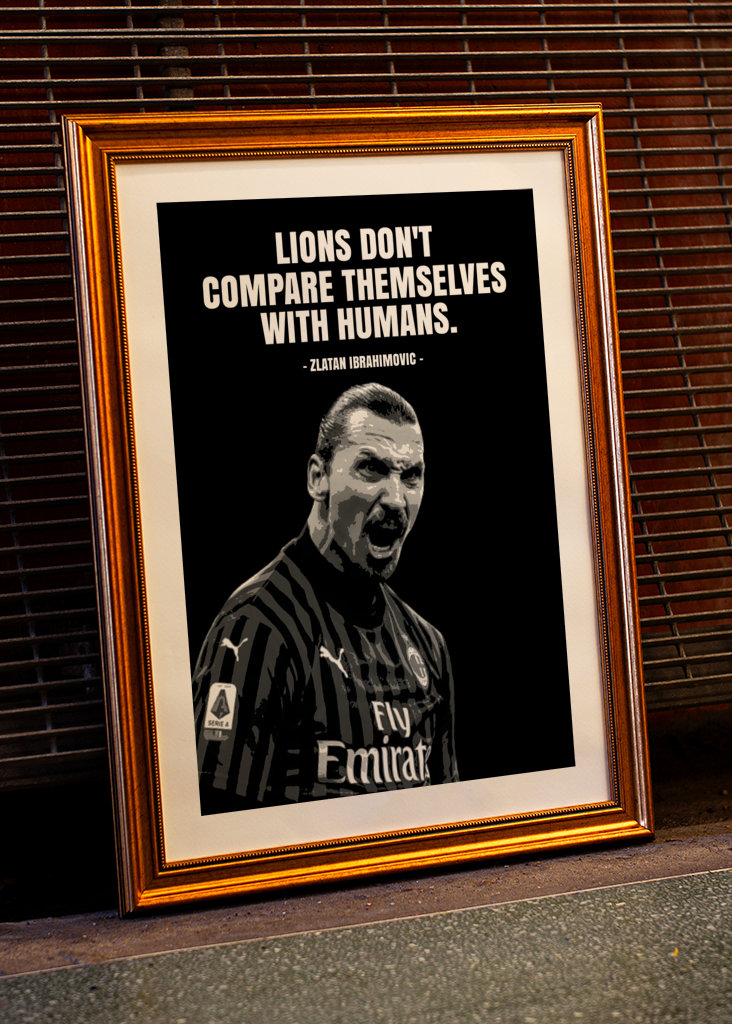 Zlatan Ibrahimovic Quotes