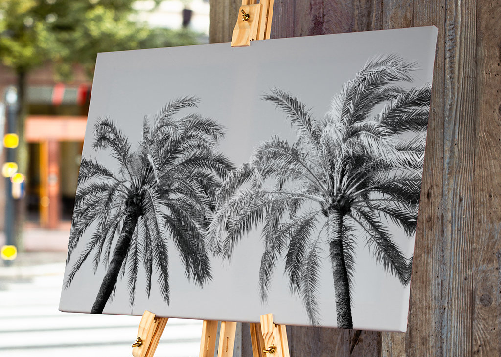 Palm Trees Beauty 5