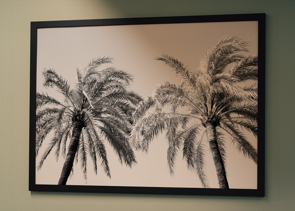 Palm Trees Beauty 5