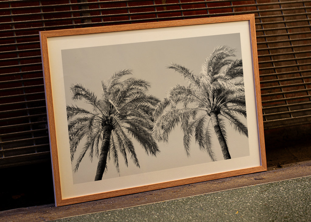Palm Trees Beauty 5